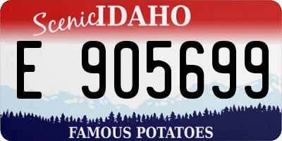 ID license plate E905699