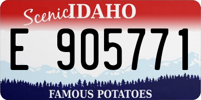 ID license plate E905771