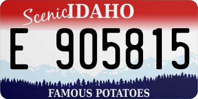 ID license plate E905815