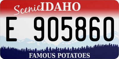 ID license plate E905860
