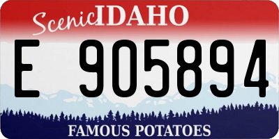 ID license plate E905894