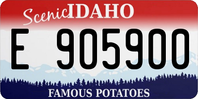 ID license plate E905900