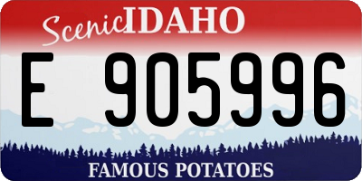 ID license plate E905996