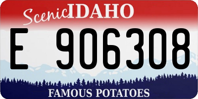 ID license plate E906308