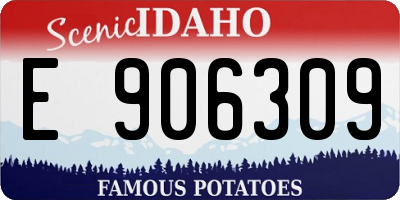 ID license plate E906309