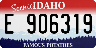 ID license plate E906319