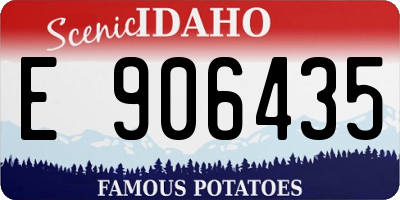 ID license plate E906435