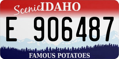 ID license plate E906487