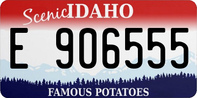 ID license plate E906555