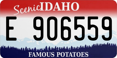 ID license plate E906559