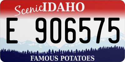 ID license plate E906575