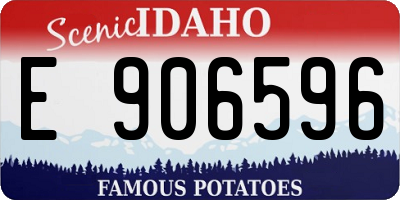 ID license plate E906596