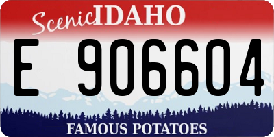 ID license plate E906604