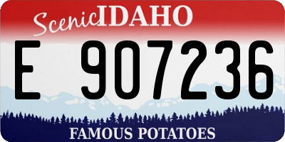 ID license plate E907236