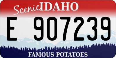 ID license plate E907239