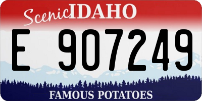 ID license plate E907249