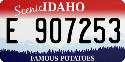 ID license plate E907253