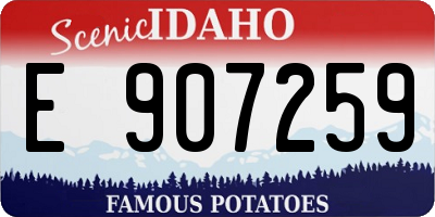 ID license plate E907259