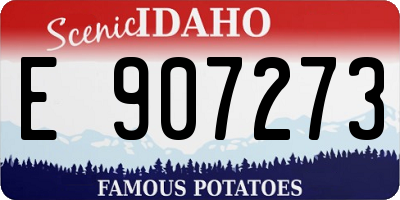 ID license plate E907273