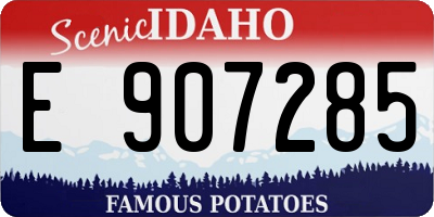ID license plate E907285