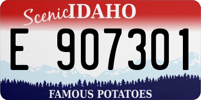 ID license plate E907301