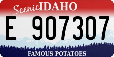 ID license plate E907307