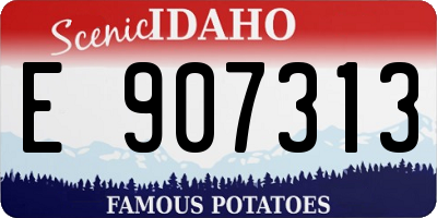 ID license plate E907313