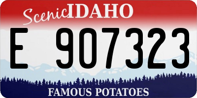 ID license plate E907323