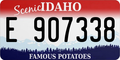 ID license plate E907338