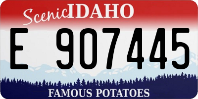 ID license plate E907445
