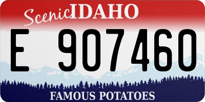 ID license plate E907460