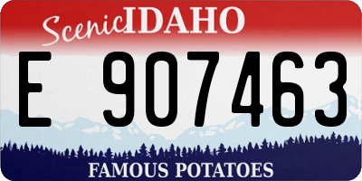 ID license plate E907463