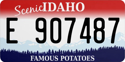 ID license plate E907487