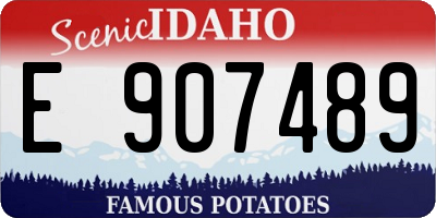 ID license plate E907489