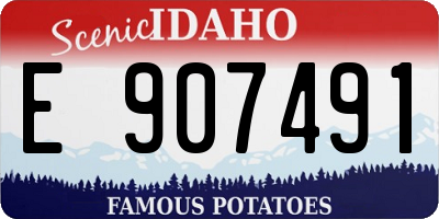 ID license plate E907491