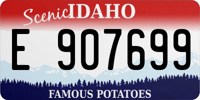 ID license plate E907699