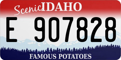 ID license plate E907828