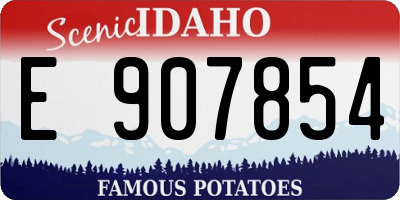 ID license plate E907854