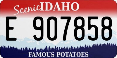 ID license plate E907858