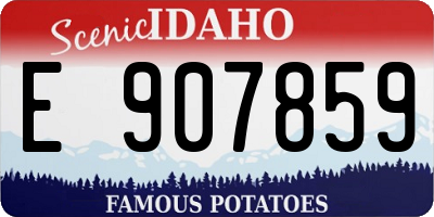 ID license plate E907859