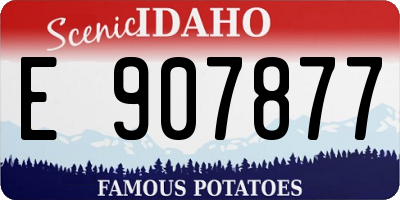 ID license plate E907877