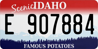 ID license plate E907884