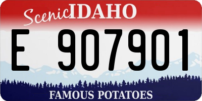 ID license plate E907901