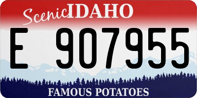 ID license plate E907955