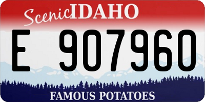 ID license plate E907960