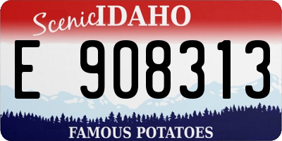 ID license plate E908313