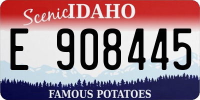 ID license plate E908445