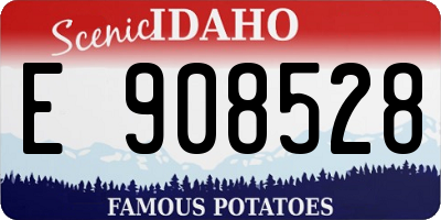 ID license plate E908528
