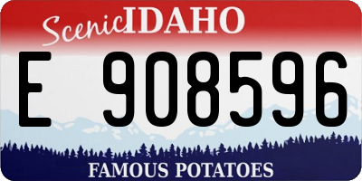 ID license plate E908596