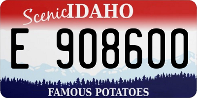 ID license plate E908600